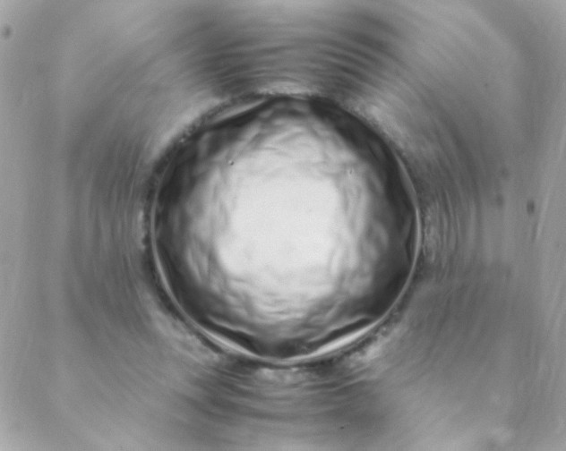 X0000088660351200706152038