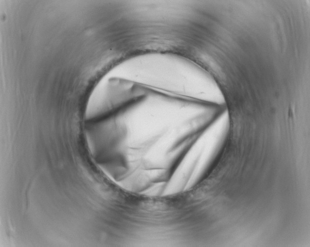 X0000088660354200706152038