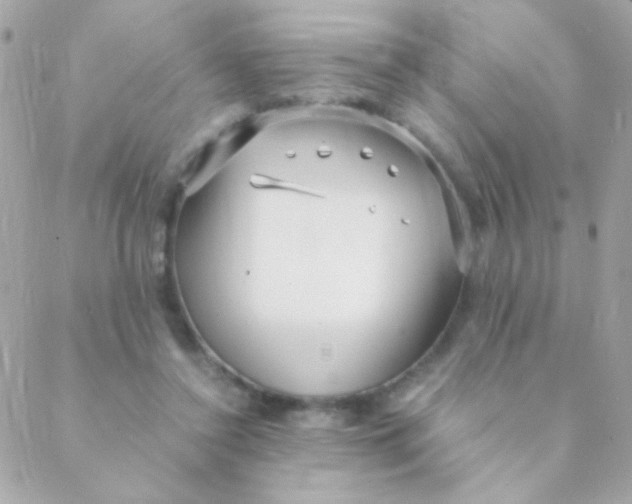 X0000088660356200706152038