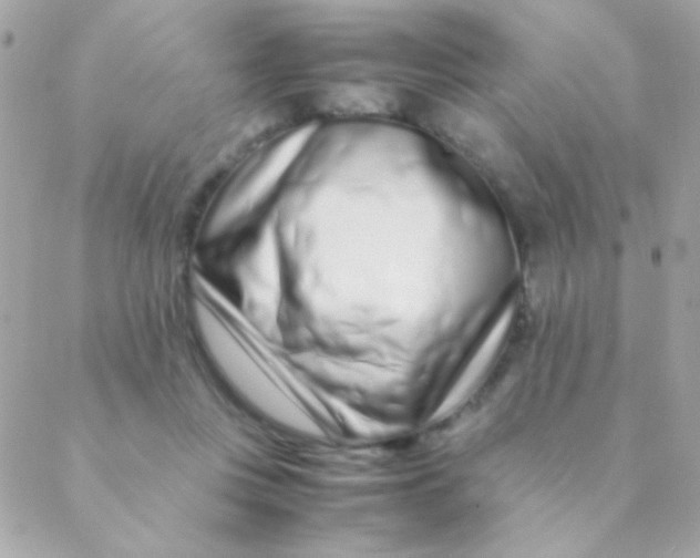 X0000088660359200706152038