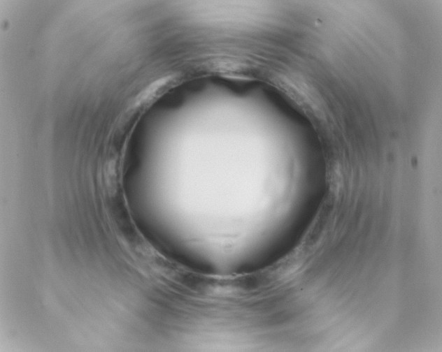 X0000088660360200706152038
