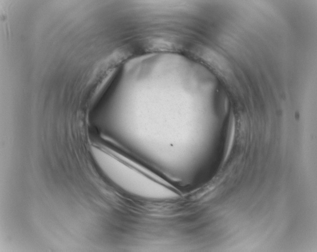 X0000088660361200706152038