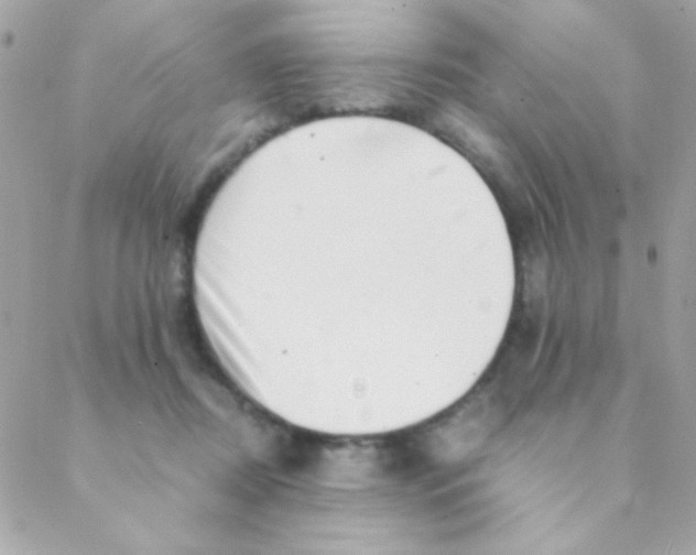 X0000088660362200706152038