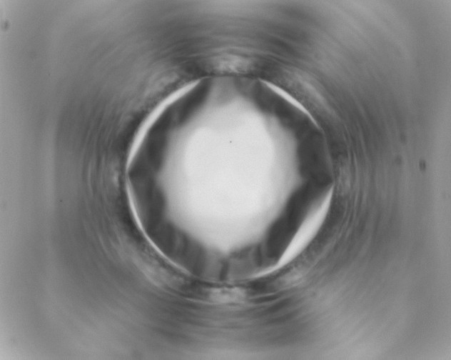 X0000088660363200706152038