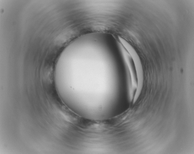X0000088660364200706152038