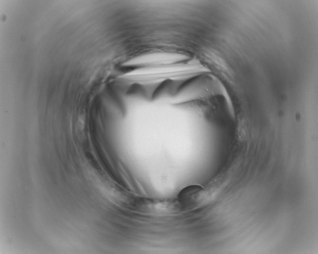 X0000088660365200706152038