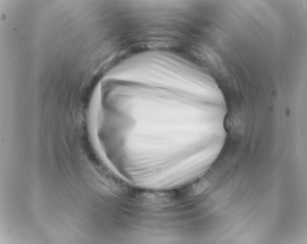 X0000088660367200706152038