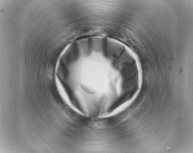 X0000088660368200706152038