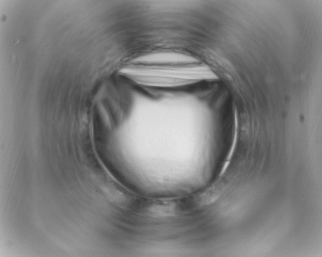 X0000088660369200706152038