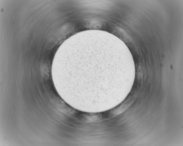 X0000088660370200706152038