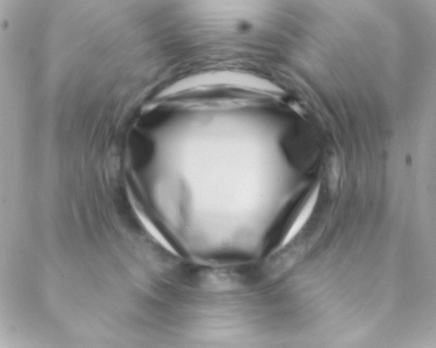 X0000088660372200706152038