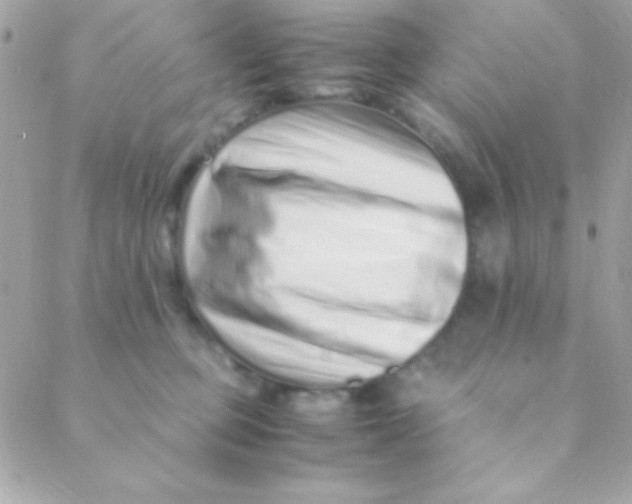 X0000088660373200706152038