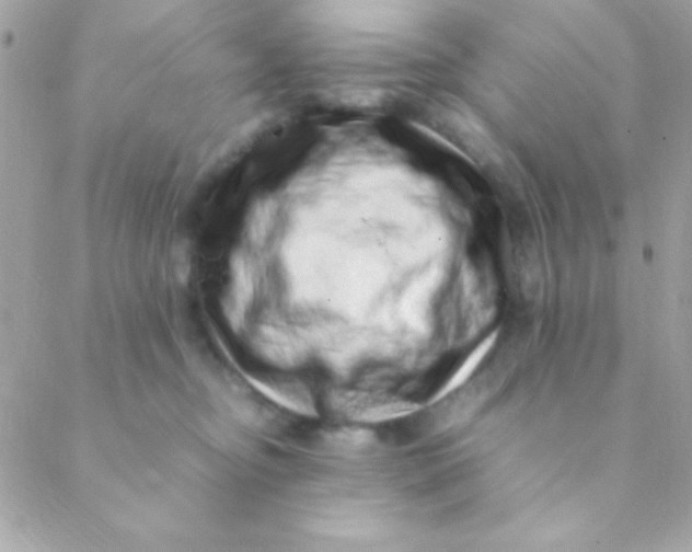 X0000088660374200706152038