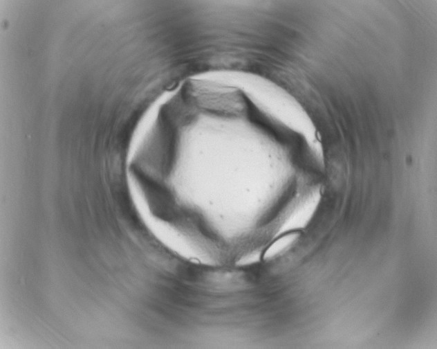 X0000088660375200706152038