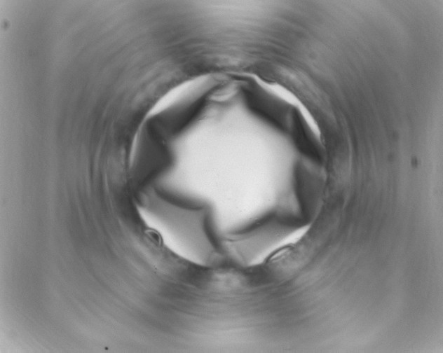 X0000088660376200706152038