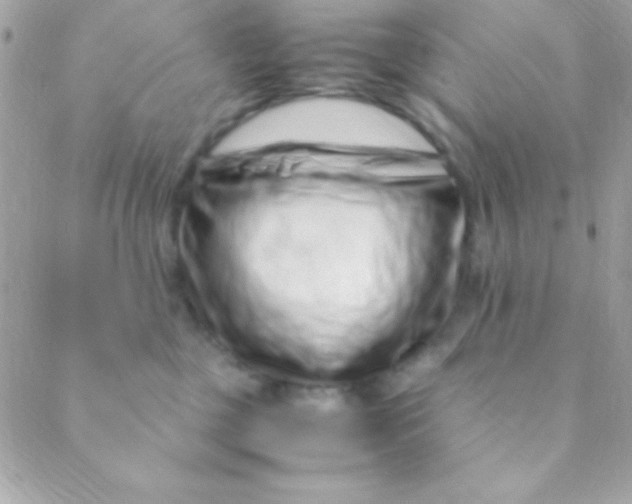 X0000088660377200706152038