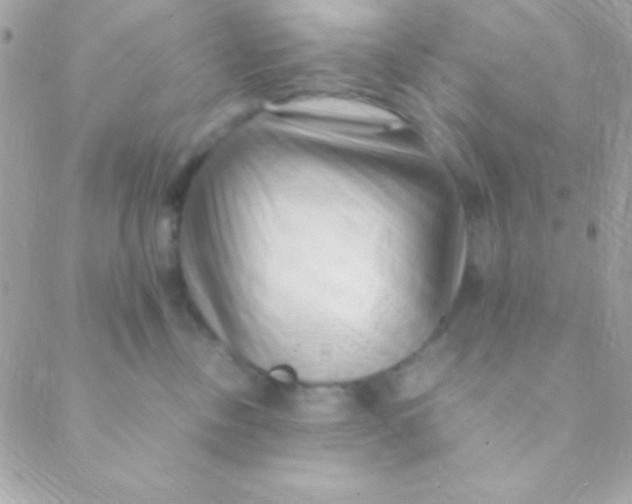 X0000088660378200706152038