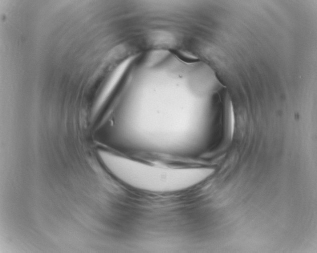 X0000088660379200706152038