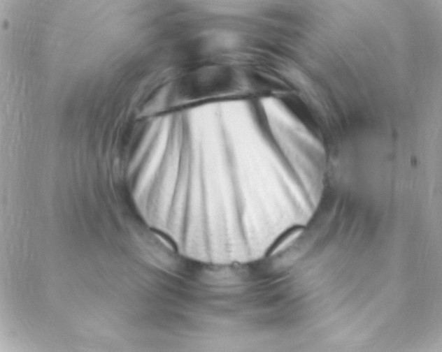 X0000088660381200706152039