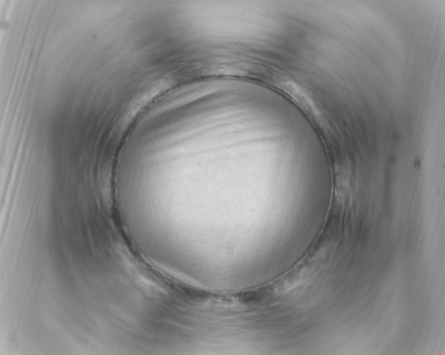 X0000088660386200706152038