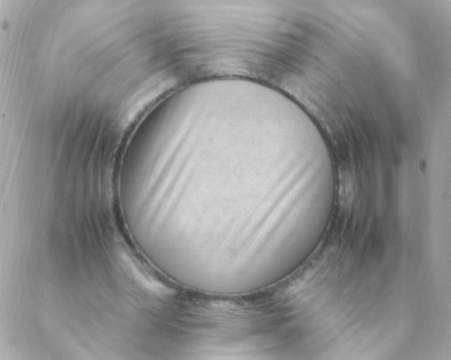 X0000088660390200706152038