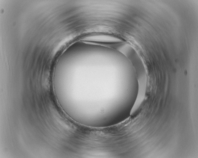X0000088660392200706152038