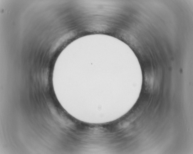 X0000088660396200706152038