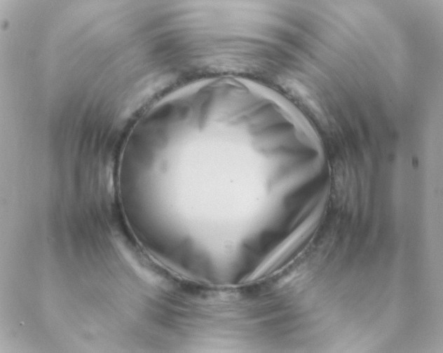 X0000088660398200706152038