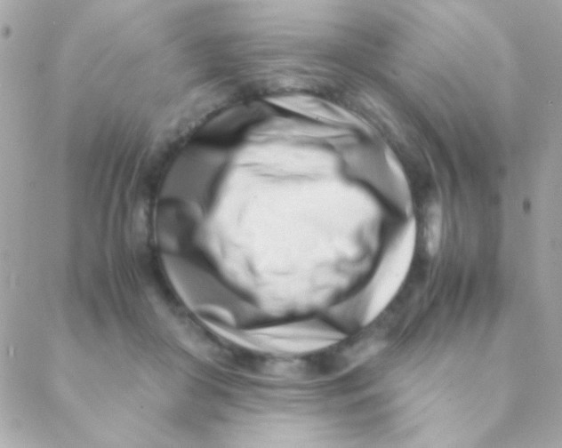 X0000088660410200706152037