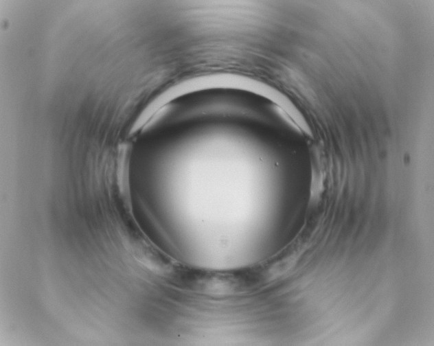 X0000088660412200706152037