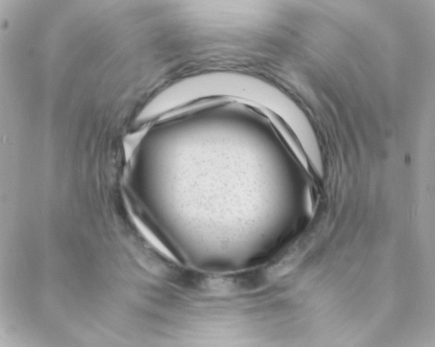 X0000088660413200706152037
