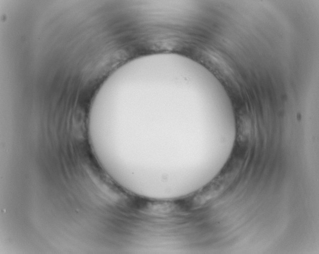 X0000088660414200706152037