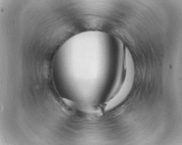 X0000088660416200706152037