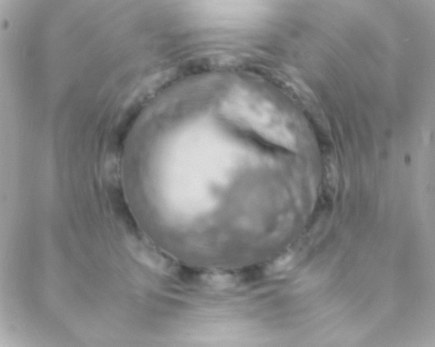 X0000088660419200706152037