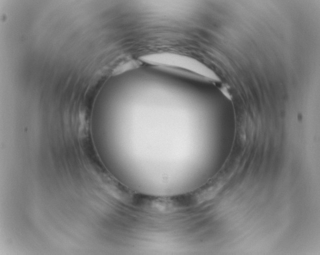 X0000088660420200706152037