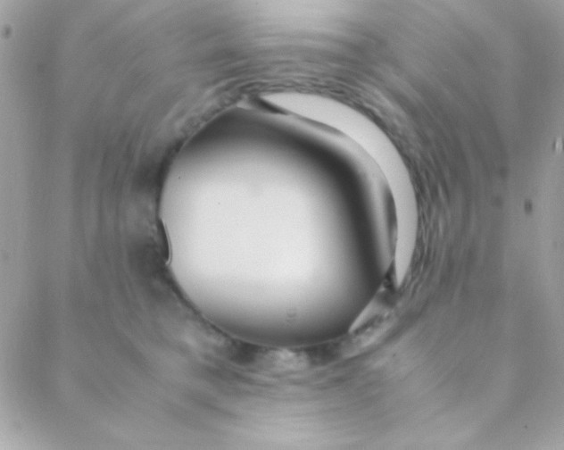 X0000088660421200706152037