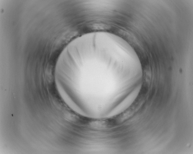 X0000088660422200706152037