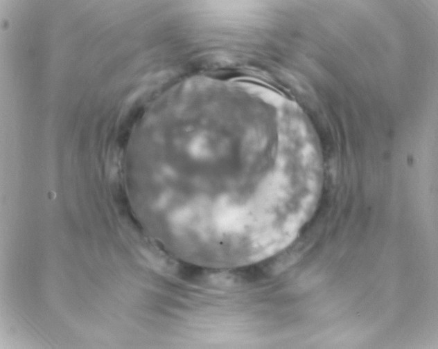X0000088660423200706152037