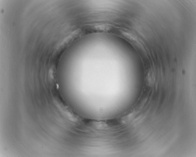 X0000088660424200706152037