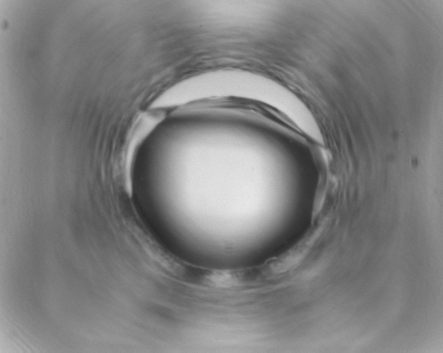 X0000088660425200706152037
