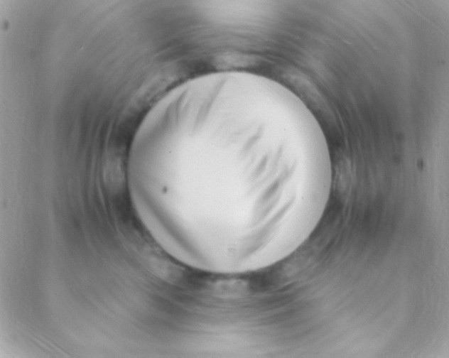 X0000088660426200706152037