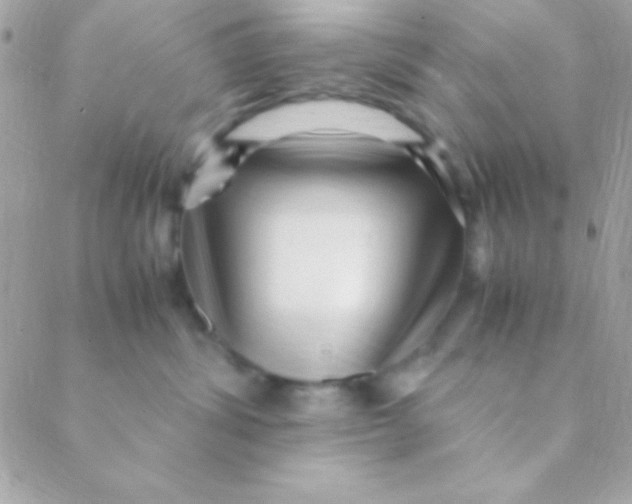 X0000088660428200706152037