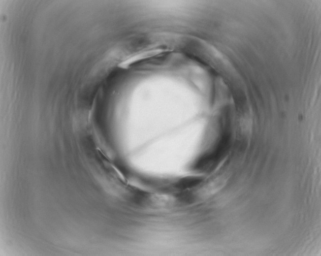 X0000088660429200706152037