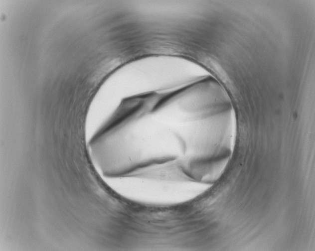 X0000088660433200706152036