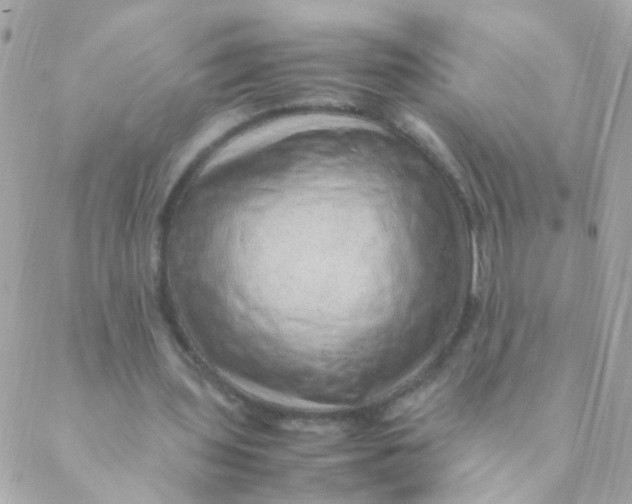 X0000088660435200706152036