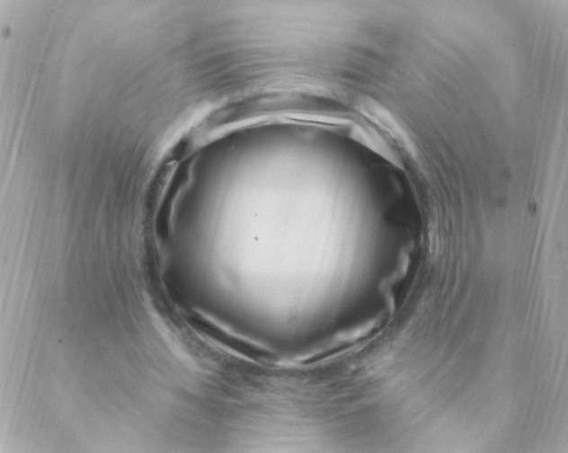 X0000088660436200706152036
