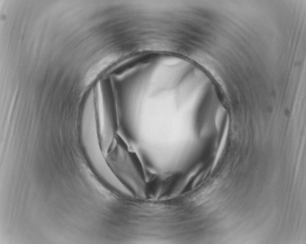 X0000088660437200706152036