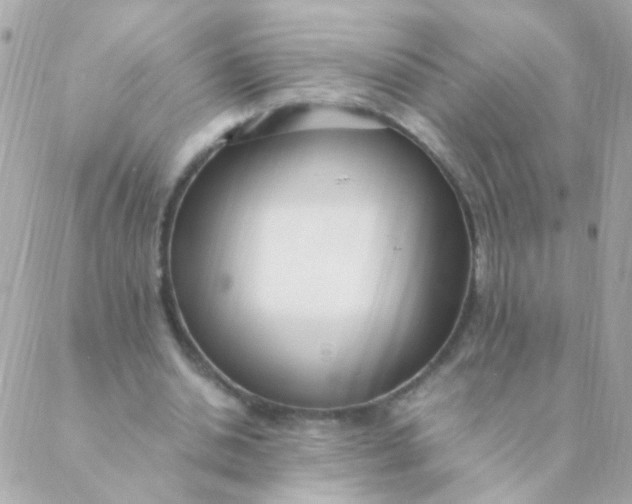 X0000088660438200706152036