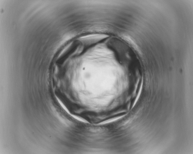 X0000088660439200706152036