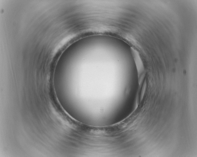 X0000088660440200706152036